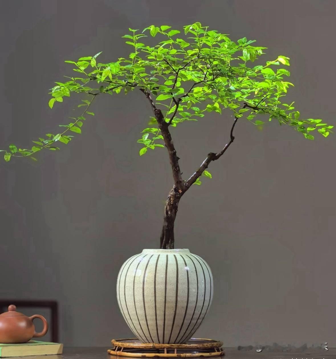 现在穷男人想要改变命运，跨越阶级，成功概率最高的事情，就是考公务员。
一旦能进入