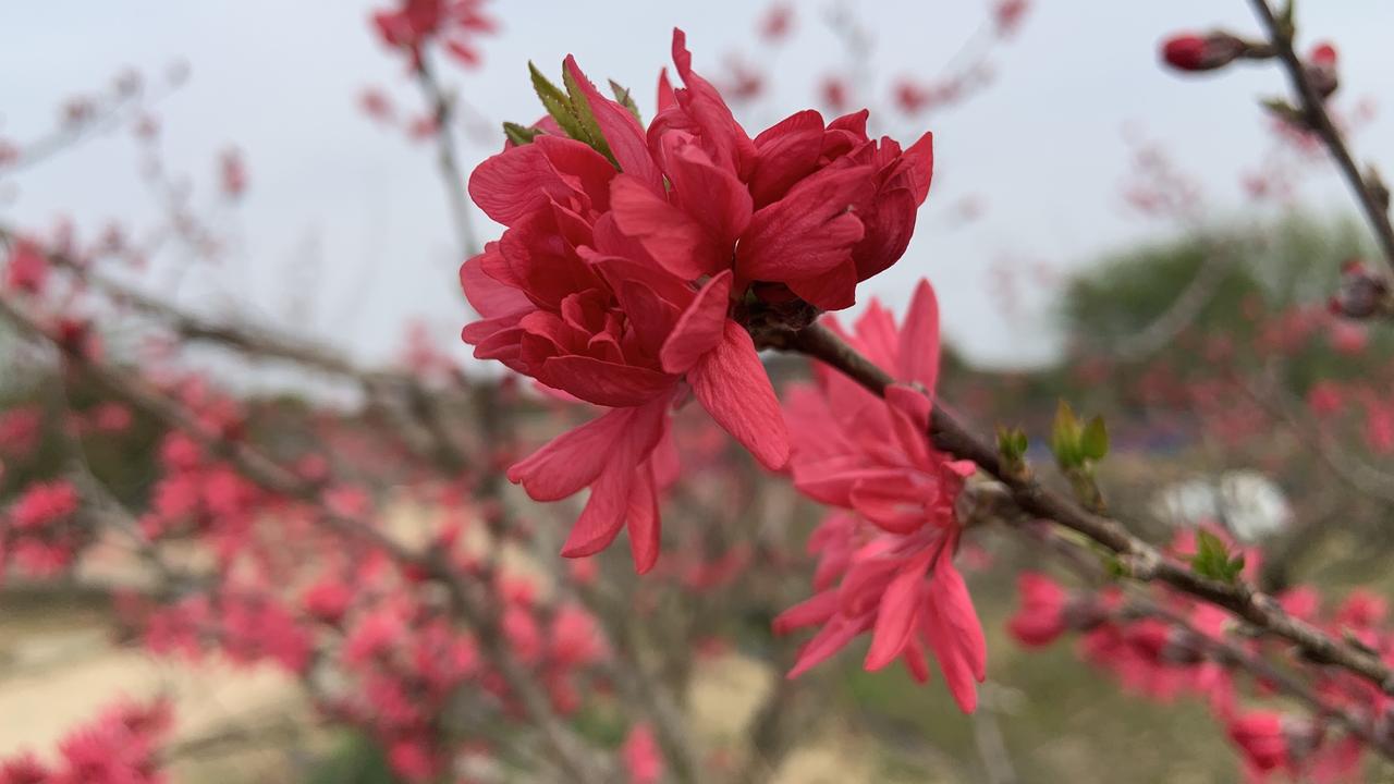 记录生活小美好。