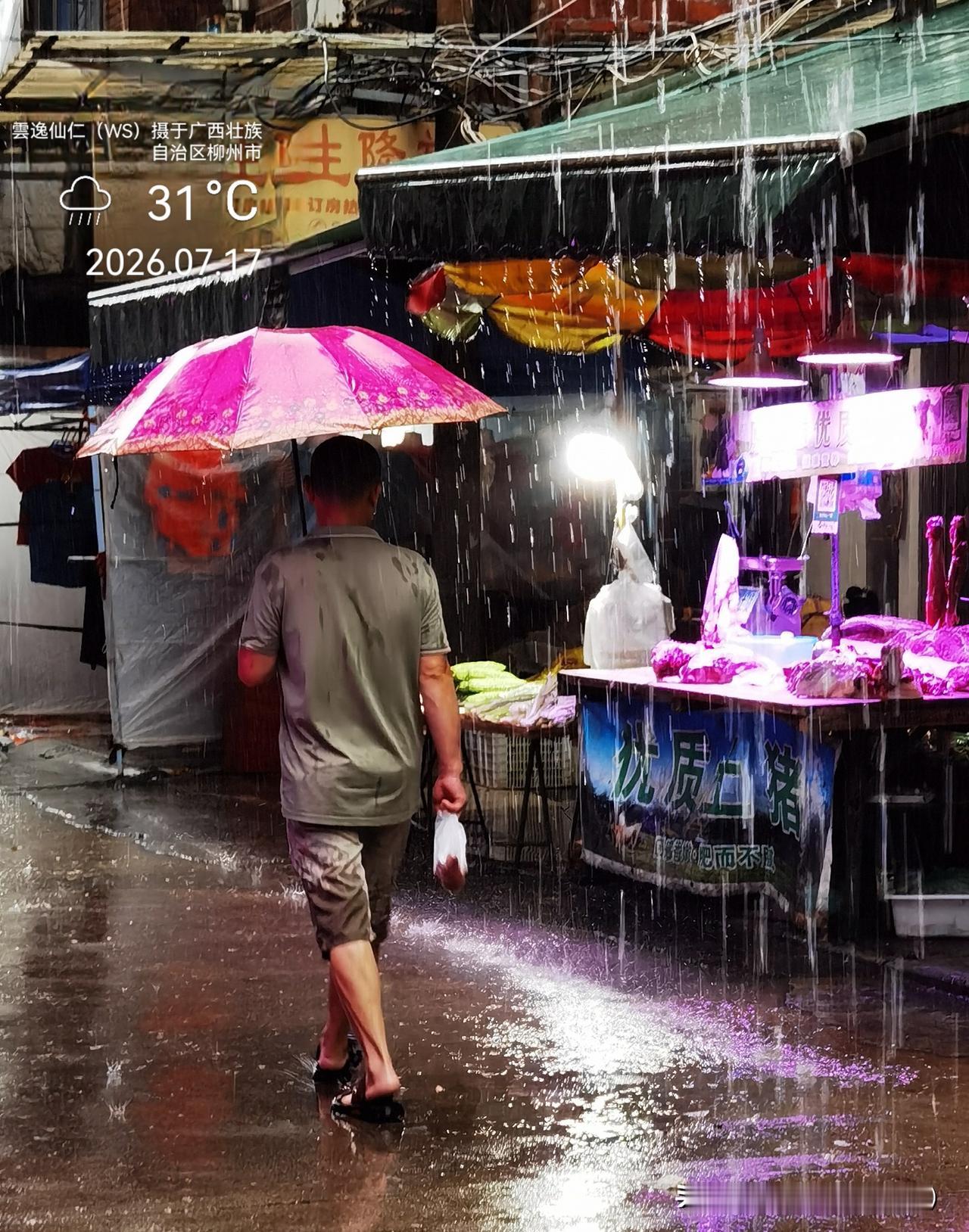 月居生活记录（10166）广西壮族自治区柳州市（204）：雨中行。