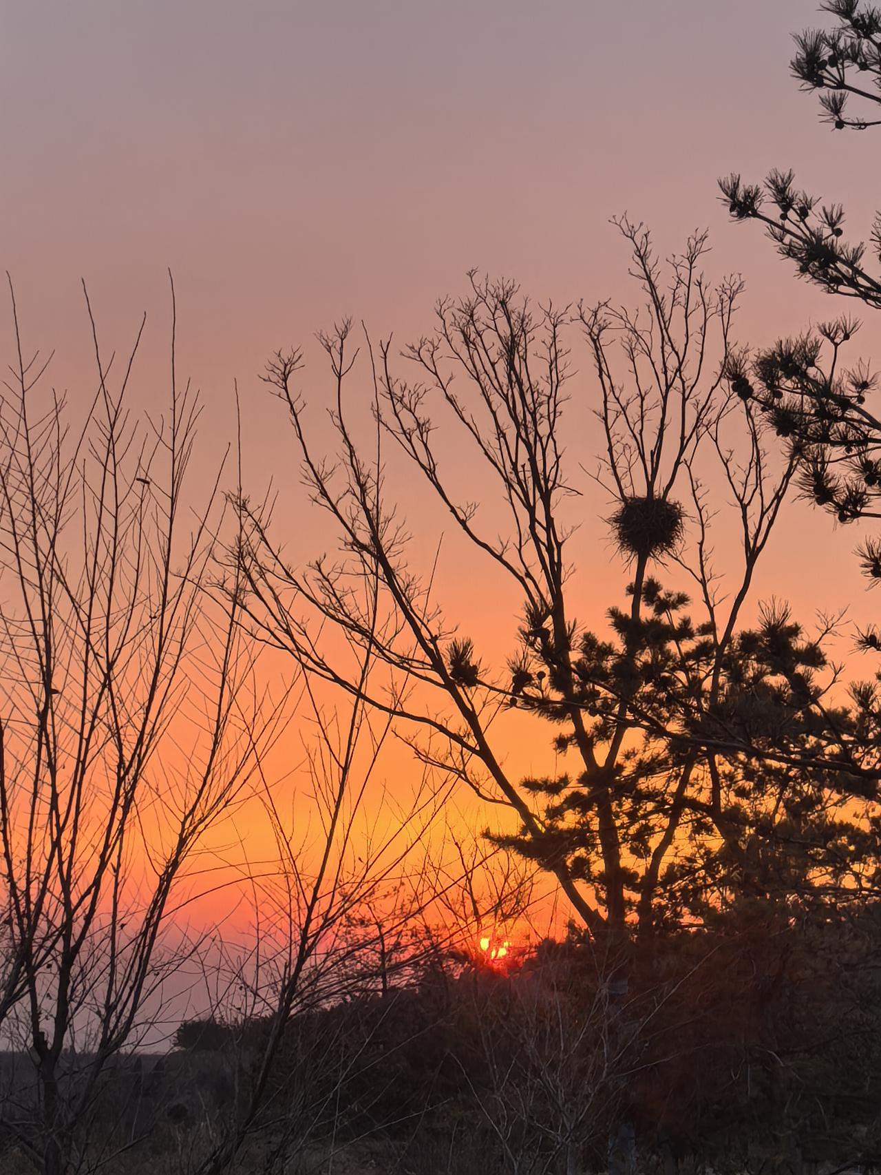 分享一张最近随手拍的照片