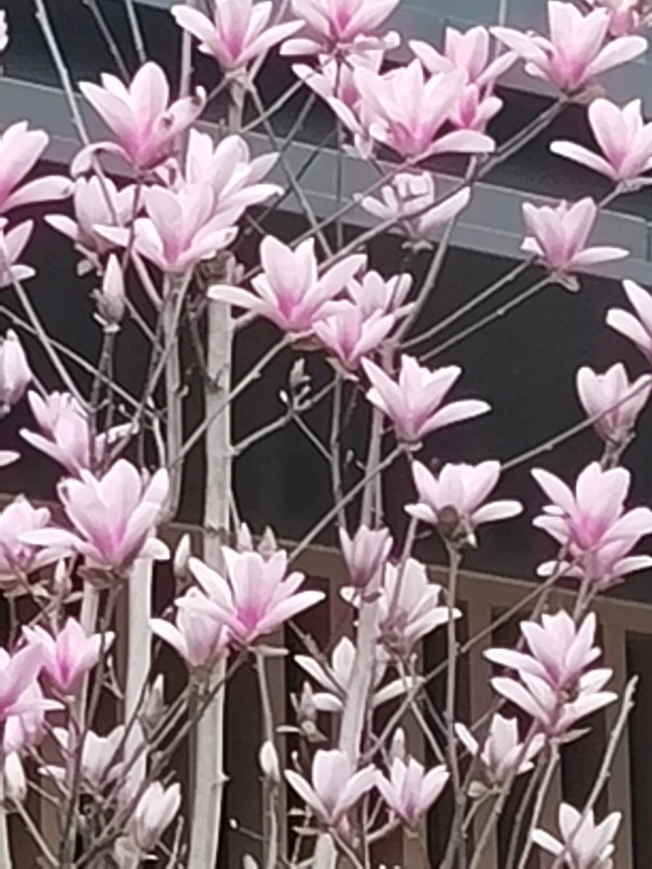 幸福天天来，吉祥日日在！关心时时有，问候充满爱。愿时光不老，咱们都好，一切顺心顺