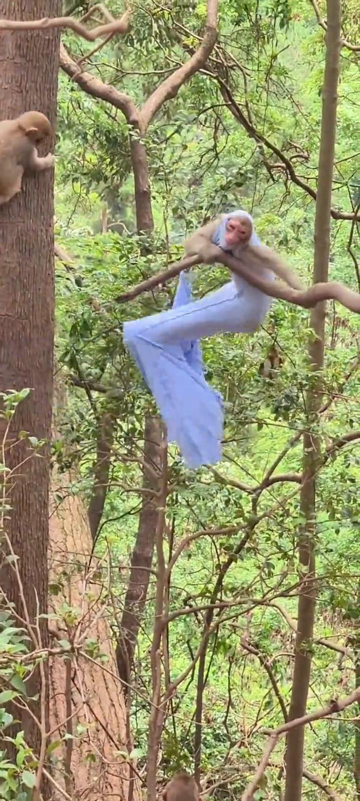 不是，它出了个抖。