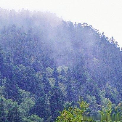 每日一善  每日一善  阳光信用 山再高，往上攀，总能登顶；路再长，走下去，定能