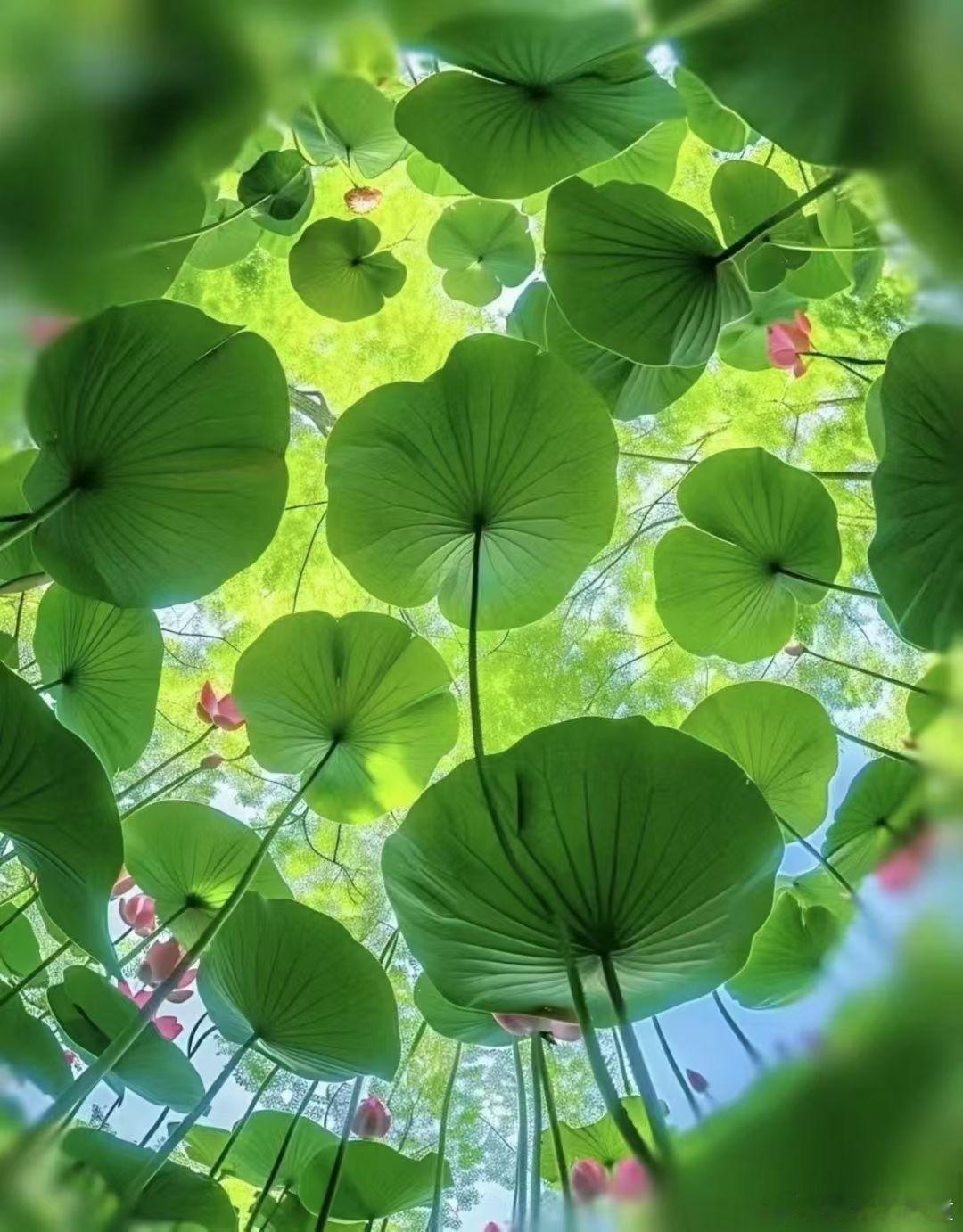过刚者易折善柔者不败 北京