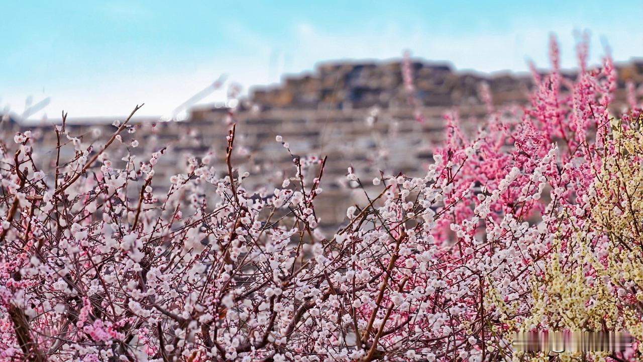 数学学习核心方法论
很多人误以为数学好是天赋使然，实则是主动思考的结果。数学好的