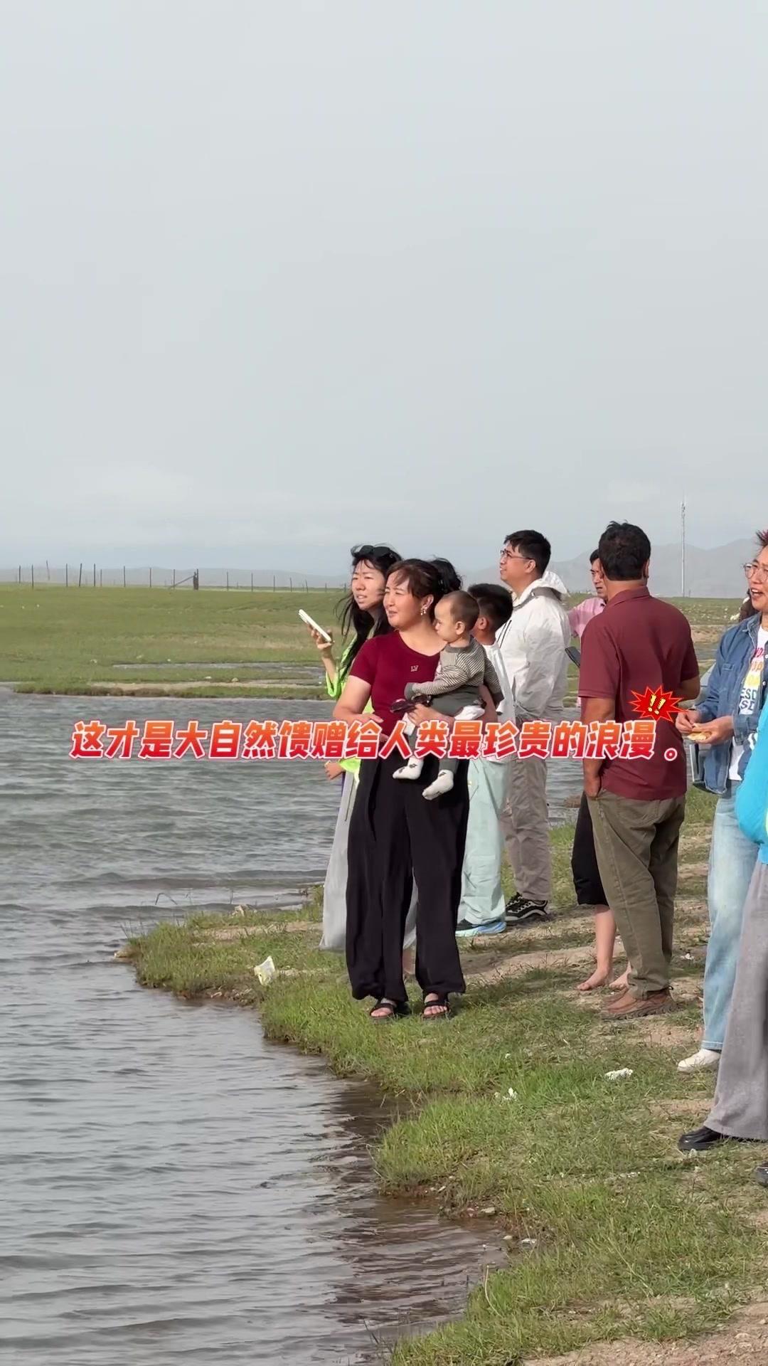 在巴音布鲁克的草原上，红嘴鸥落在掌心啄食面包屑，阳光洒在它们白翅膀上，连羽毛都在