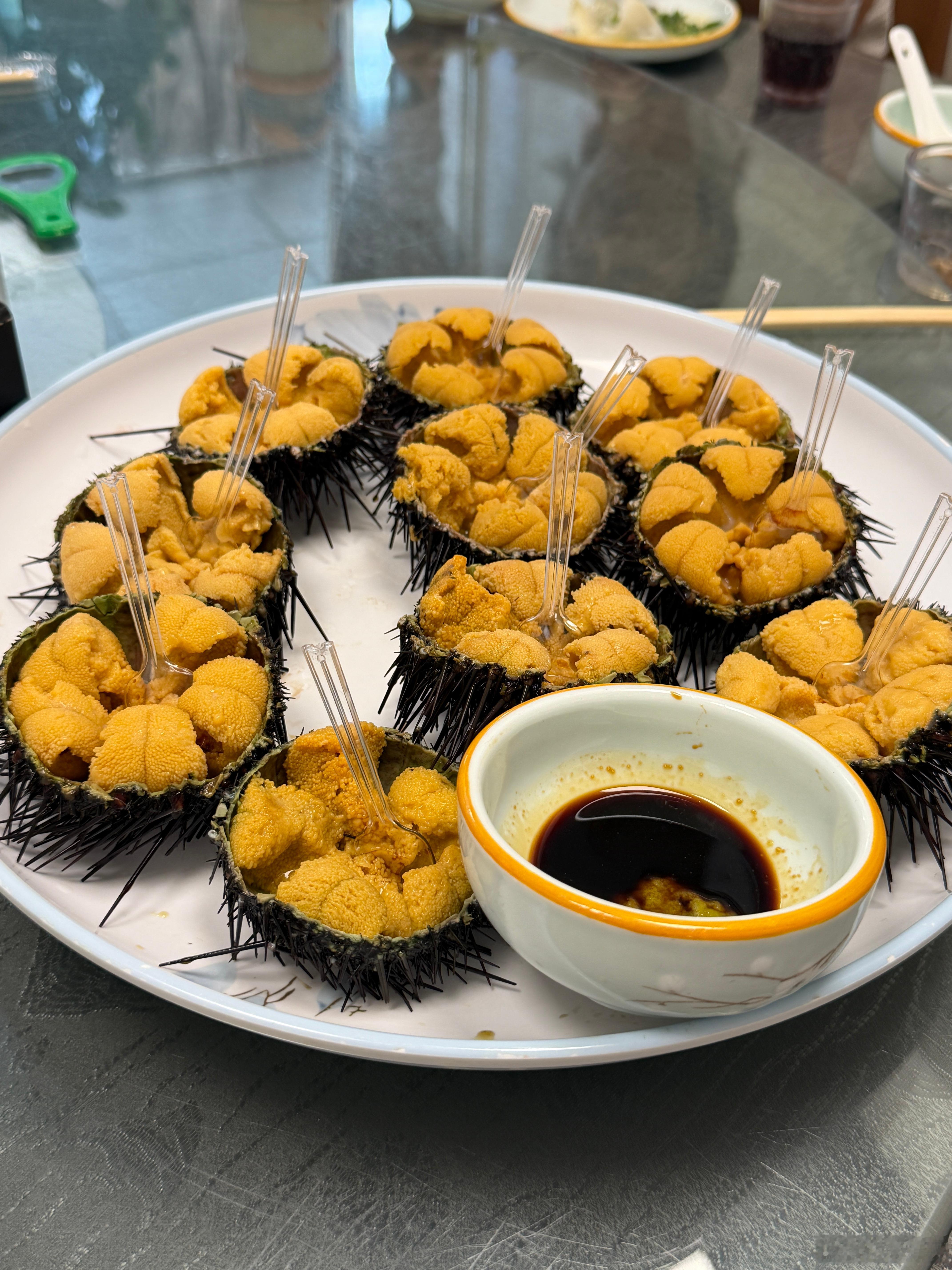 急头白咧吃顿午饭 大连·日丰园·海肠水饺 中国一绝(小平岛店)