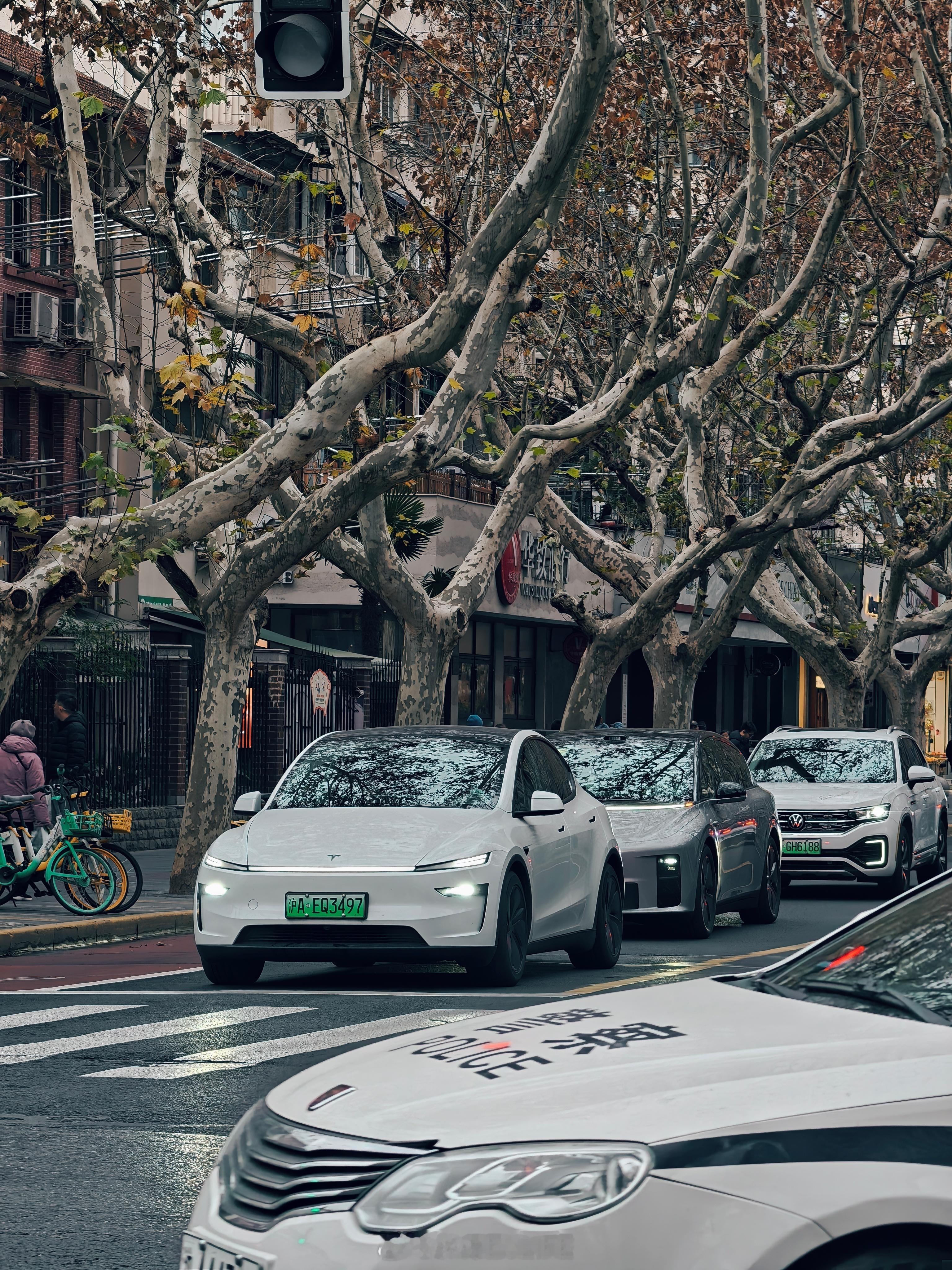 上海街头特斯拉和理想还是多，Model Y这贯穿前脸是真好看，还有理想i6，这造