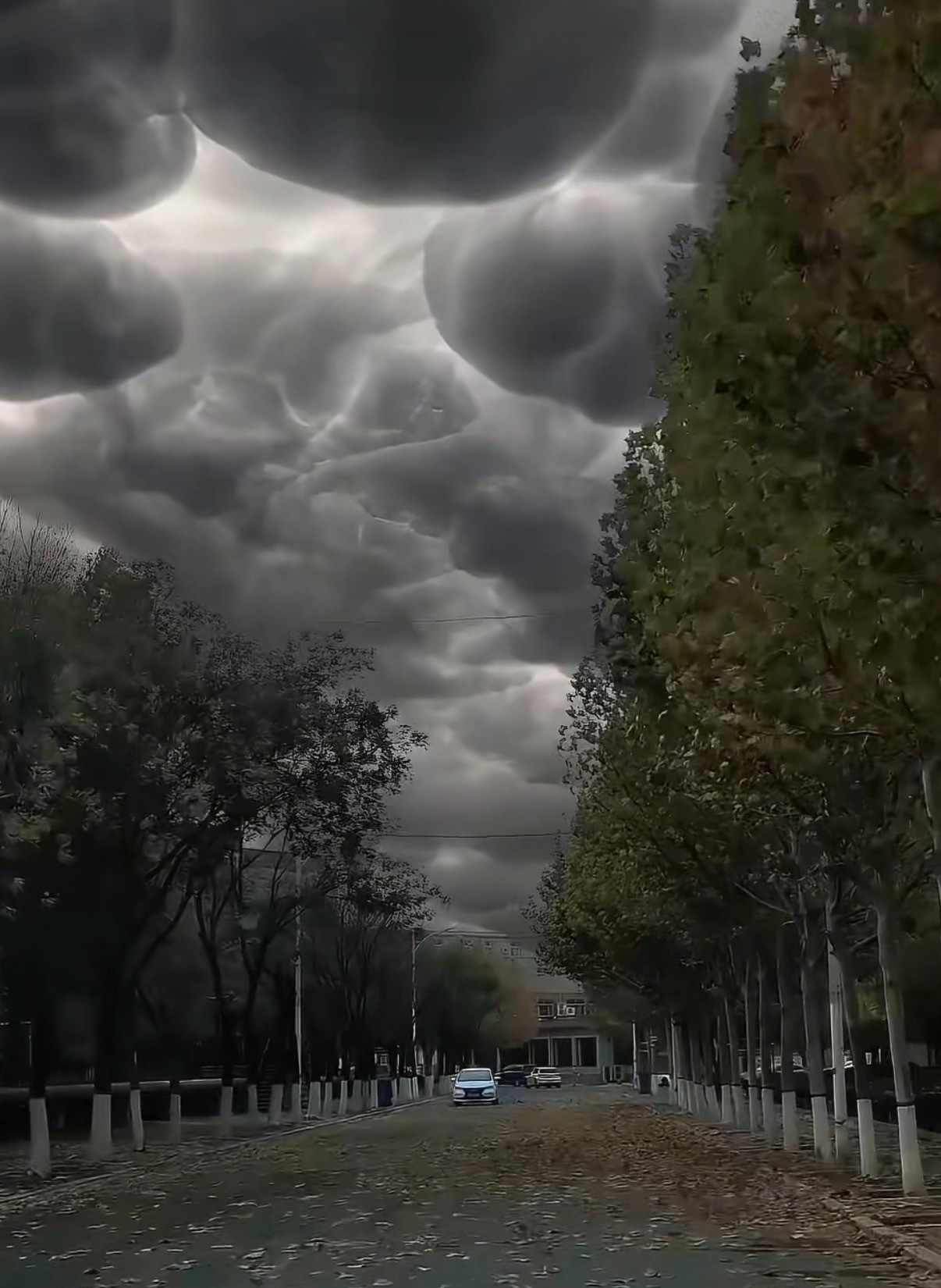 乳状云 特大暴雨学到了，大家出门遇到这种云就赶紧往回走，或者找个地方躲起来。特大