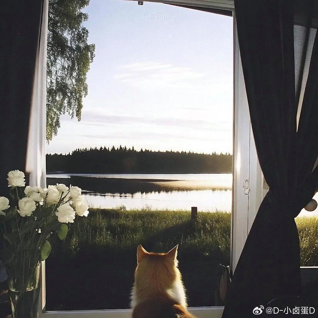 任何关系，我先对你好，这叫教养。我对你好，你也对我好，这叫双向奔赴。我对你好，你