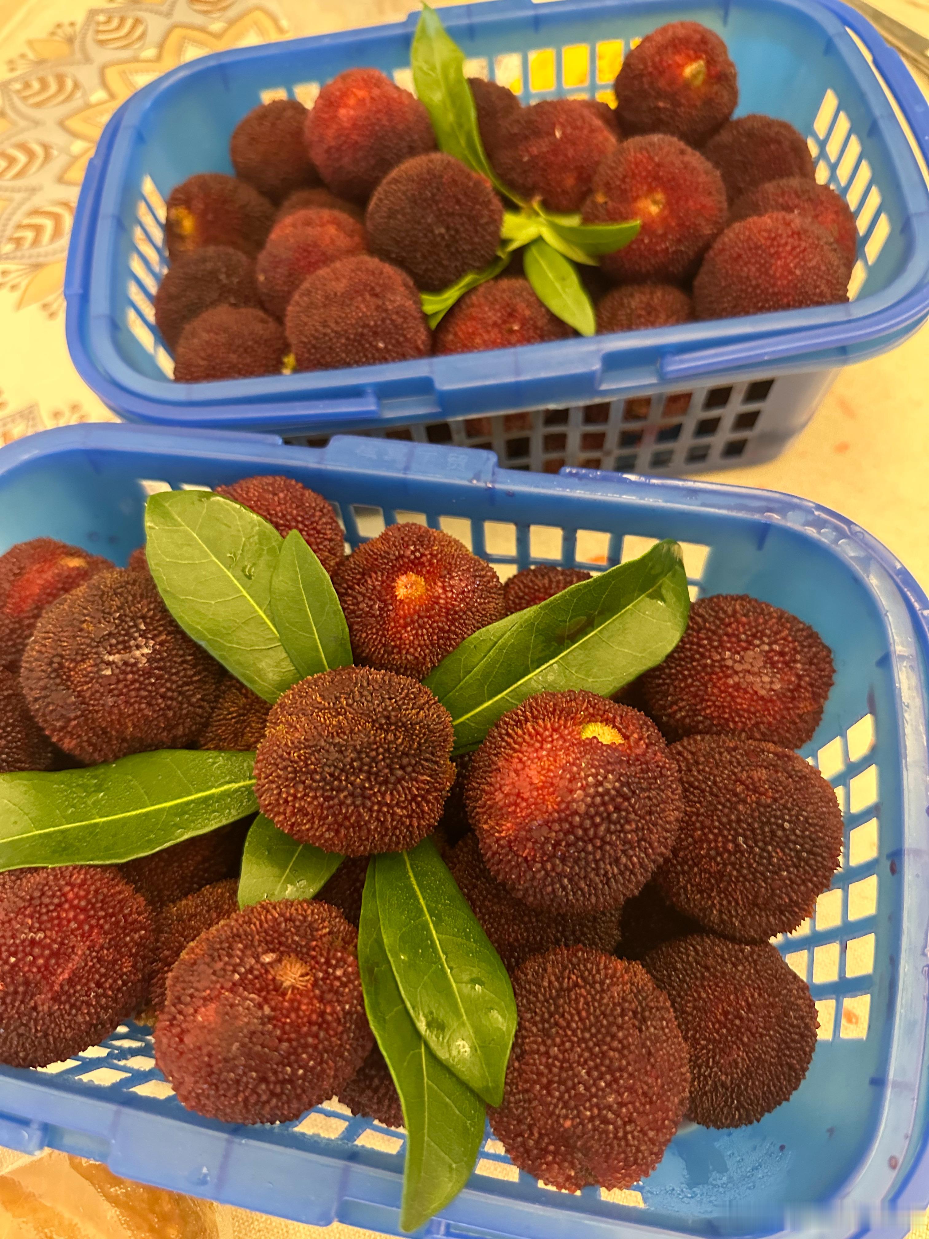 本以为杨梅要下市了又被仙居的朋友惦记，送来尝尝鲜颗粒饱满很大……杨梅
