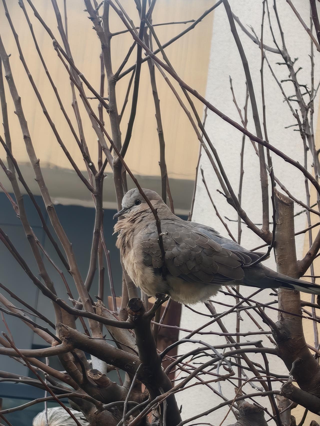 给2026的自己写句话 2026的自己，此刻的我正为生活的难题焦头烂额，为工作的