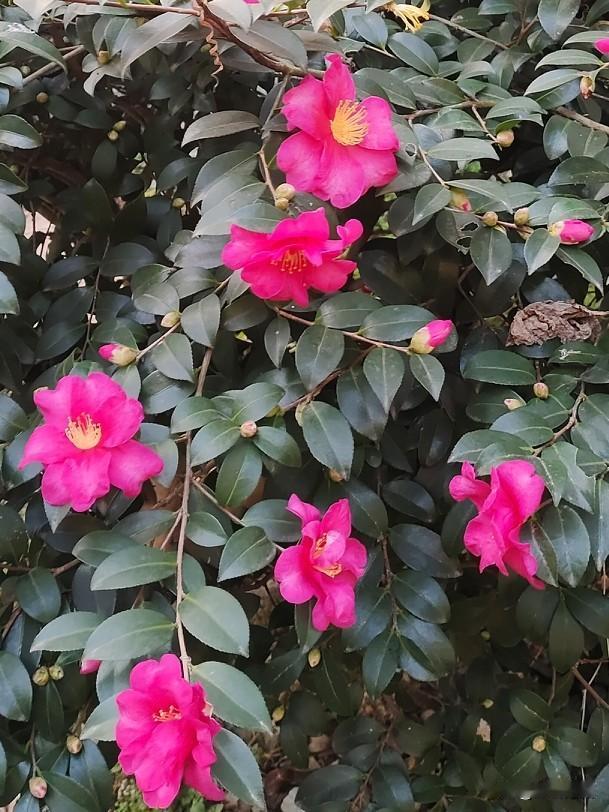 我近期创作的内容被官方加热啦！👍你也快来发布一条吧！带