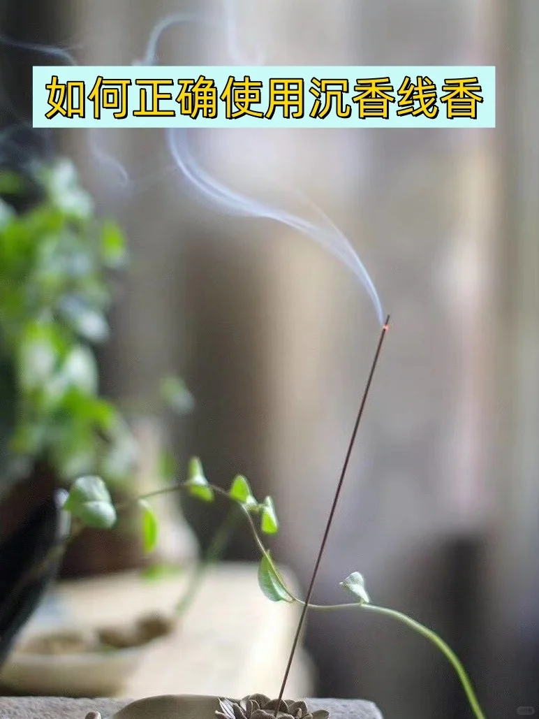 品线香也要注意这么多问题呀❓沉香线香