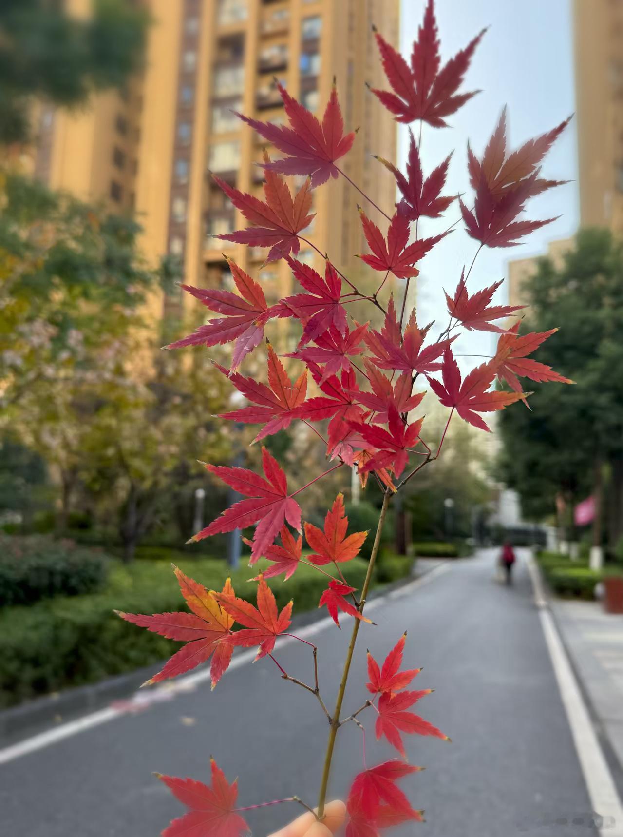 冬天出门也是有收获有美景欣赏的哦～ 