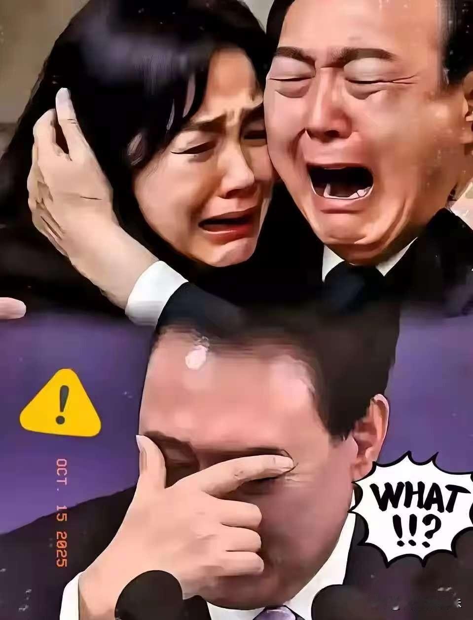 韩国前总统夫人金建希消息
12月3日，韩国特检组向法院提出判处前总统尹锡悦夫人金