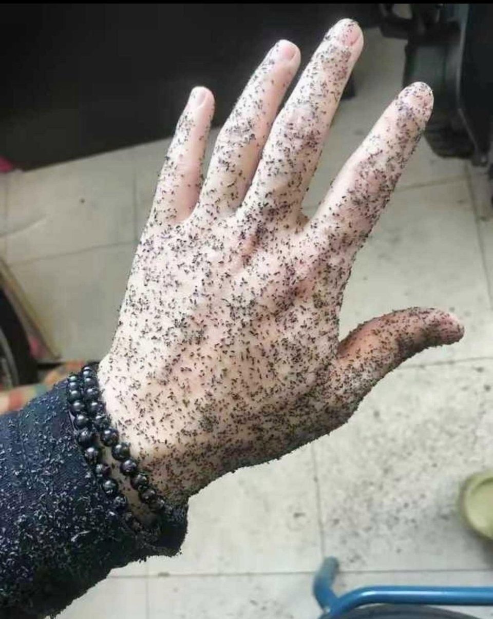 真是的，自己把自己吓到了！ 