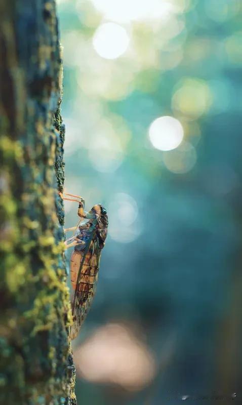 看到“冬雪纷飞冬寒冷”这个上联，我灵感突发，对个“春花烂漫春景妍”。
冬天是寒冷