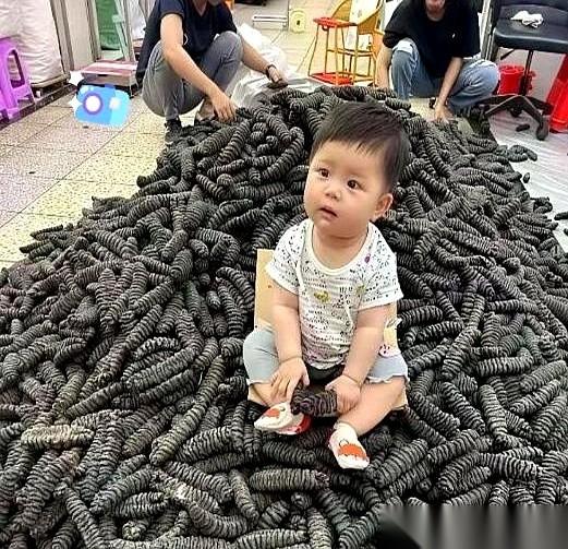 一屁股坐下去，一套房的首付可能就有了。
我说的就是那个娃，那个坐在“海参山”上的