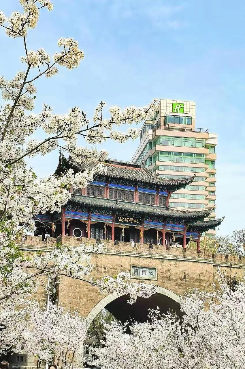 东风本田 2026 年第一季度销量（官方数据）：
 
- 累计销量：71,432