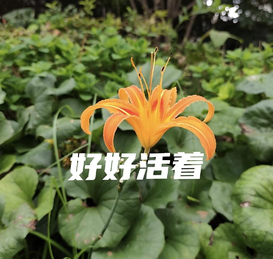这个年龄（80)，很难真正健康了。身体依旧会出现各种问题，我知道不是病。就是身体