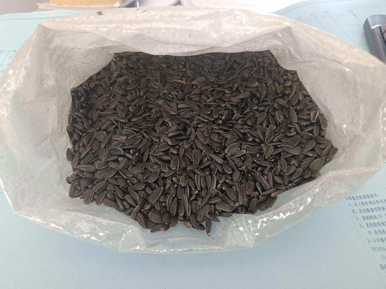 现在买的内蒙小油葵，河南省商丘的，以前买的陕西羊肉泡馍，河南的，河南人什么都会做