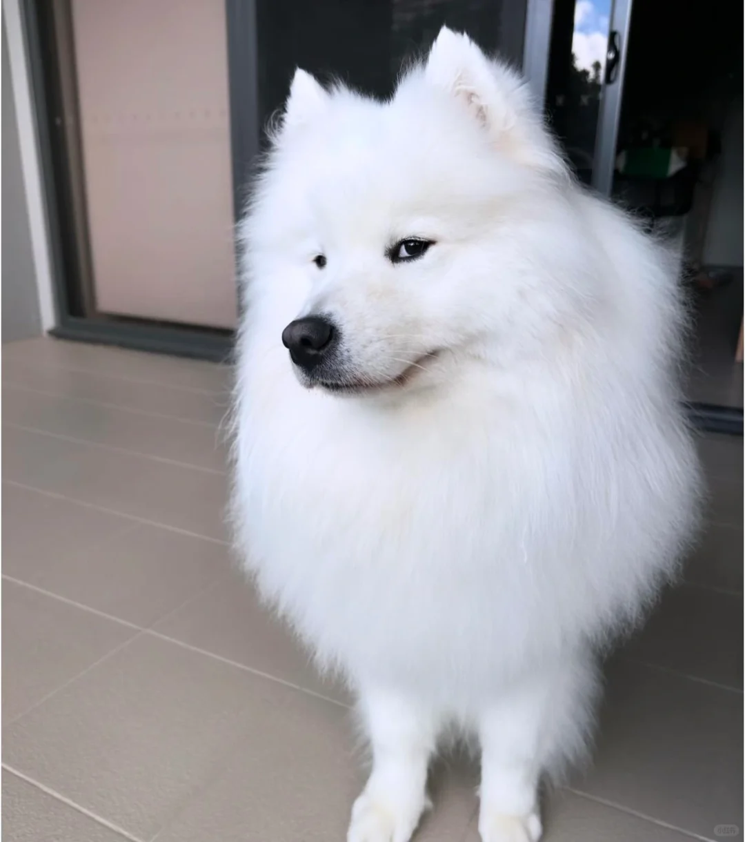 他好像对这个家不太满意啊