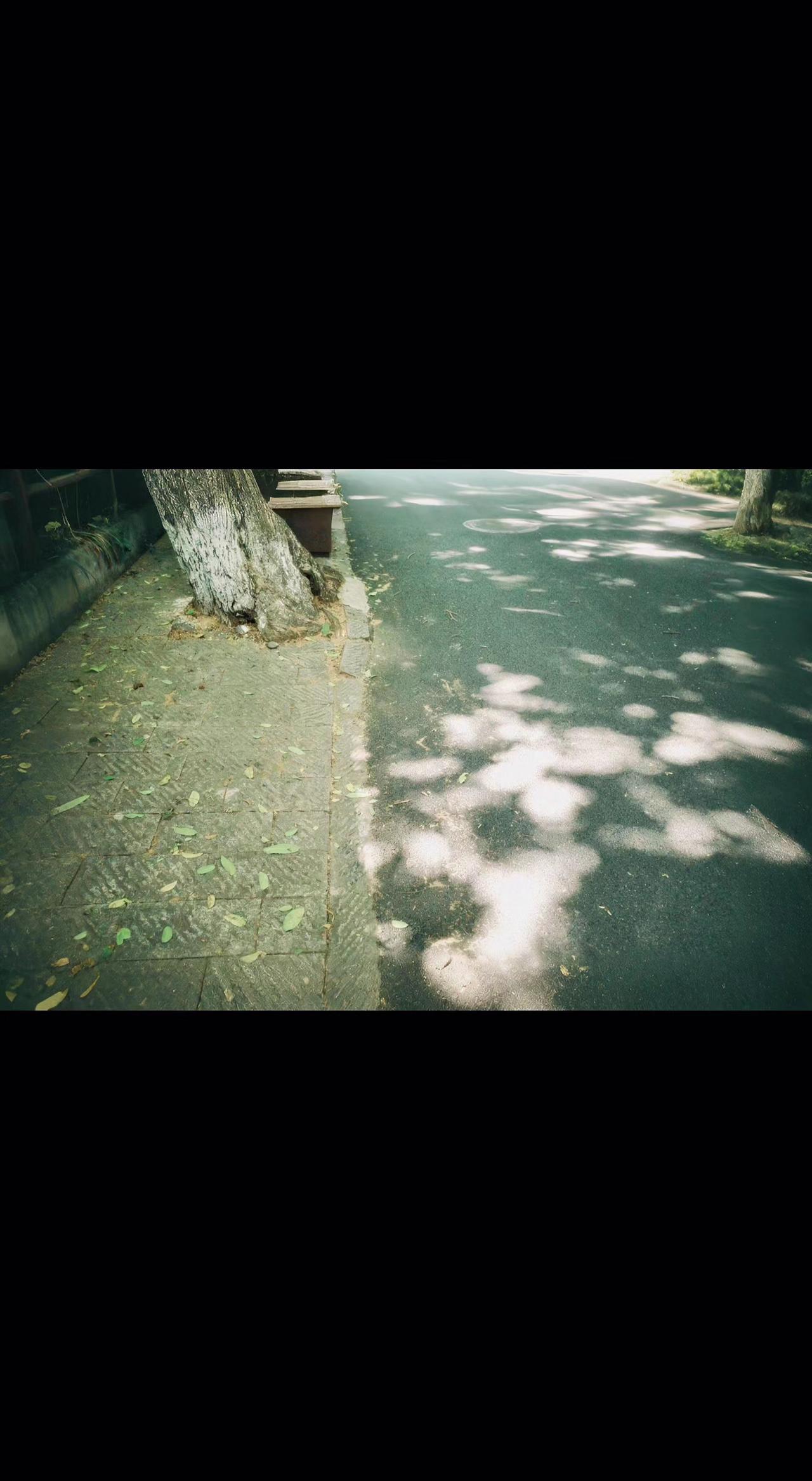 🌿光影在路面写诗，枯叶给地砖盖章。时间从不喧哗，却把每个瞬间都刻成独家记忆。