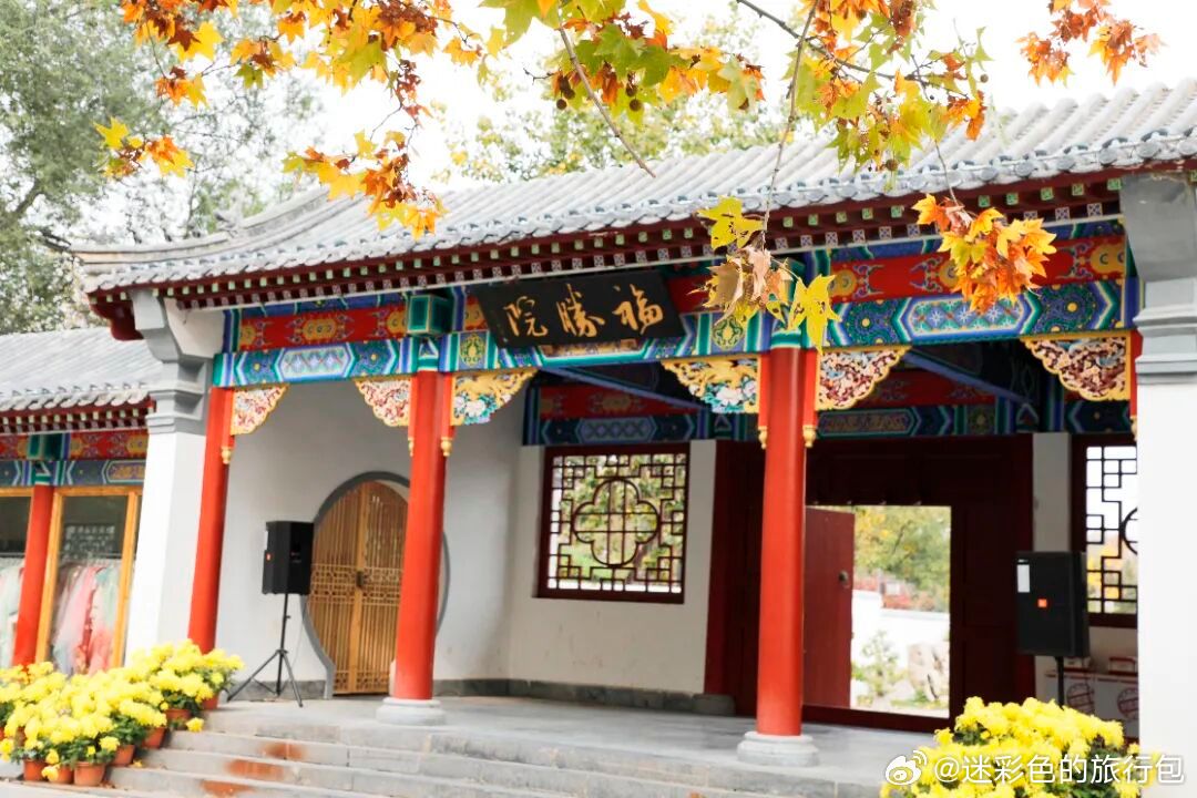 来开封别只逛清明上河园！这座千年铁塔底蕴拉满，文物古迹、实景演绎、亲子鹿苑一站式