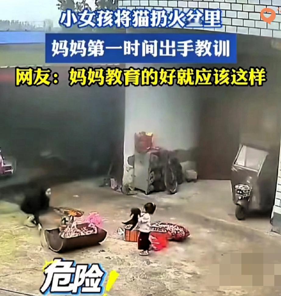 真别一看见孩子犯浑就骂“天生坏种”！
河南那事儿我越看越觉得，大家都把重点搞偏了