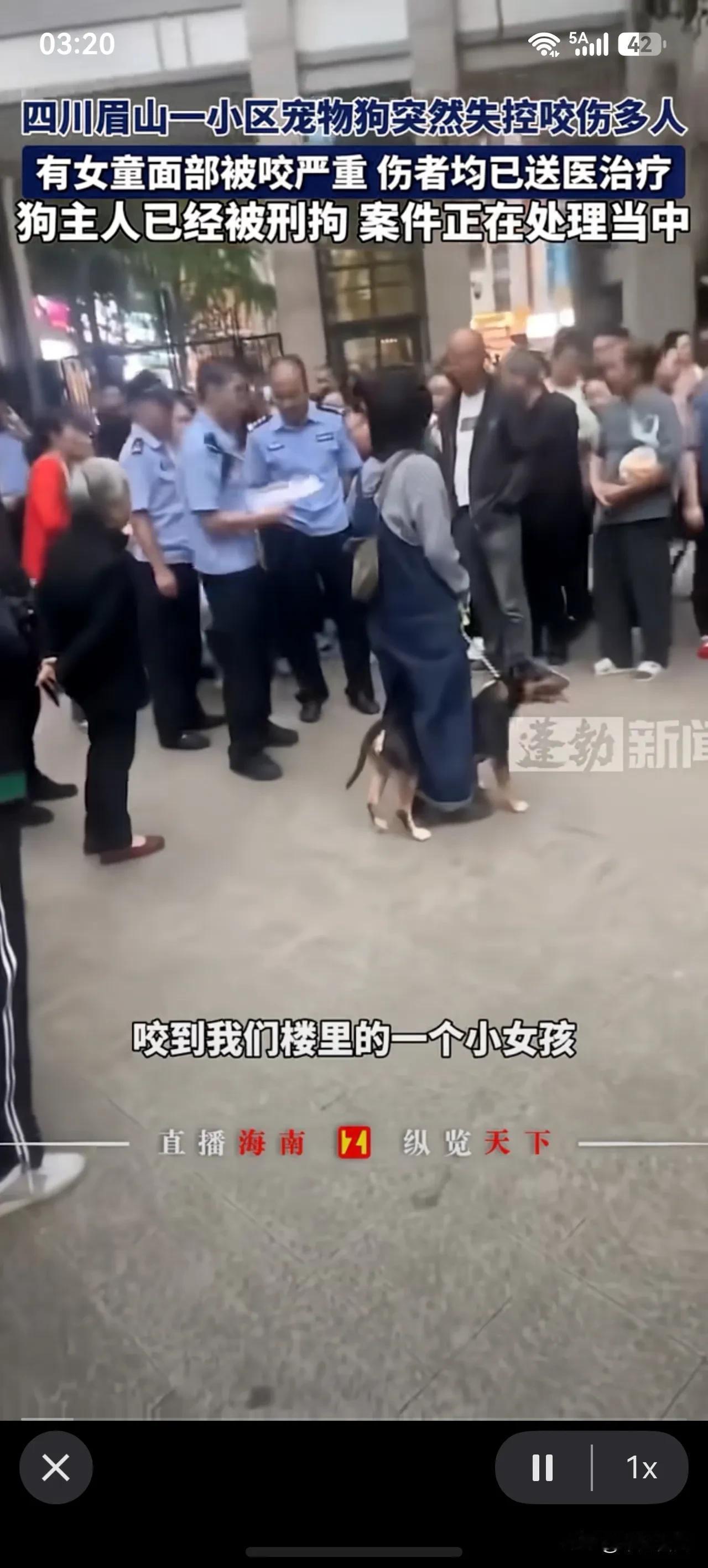 世上最恶心的话，我家狗不咬人！

路人同情感慨:“你看这个狗儿好吓人，咬到我们楼