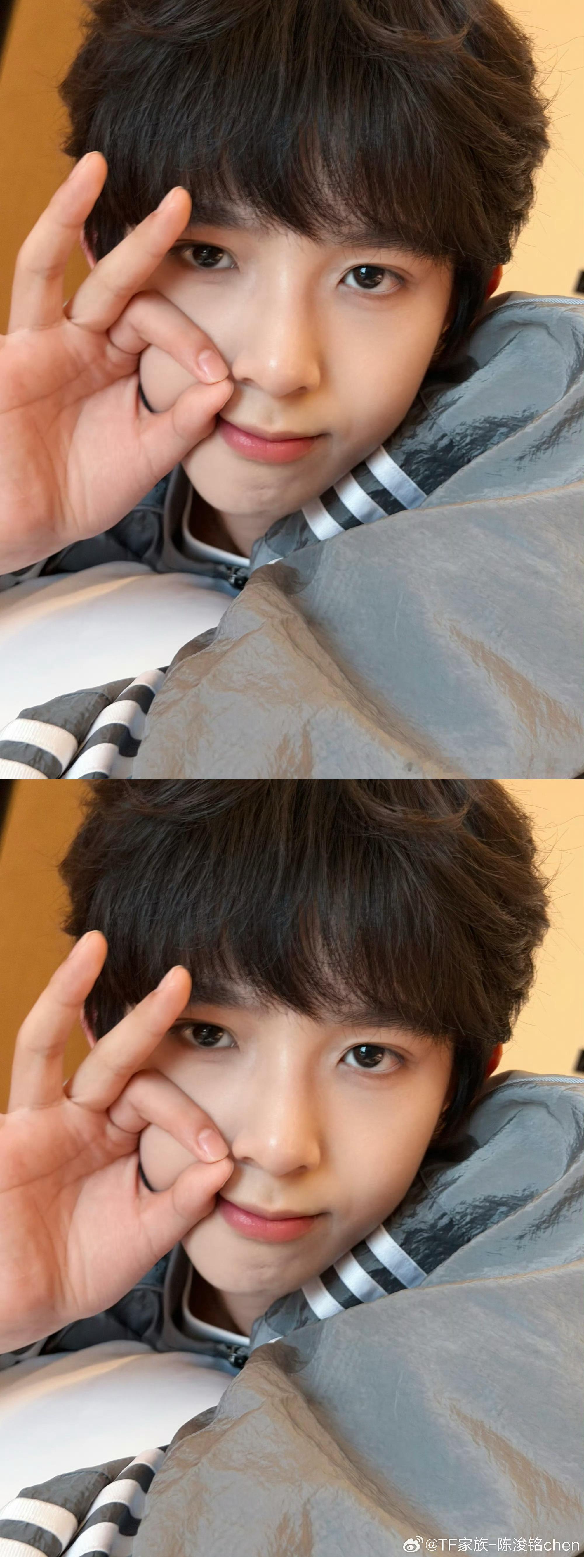 陈浚铭说好想你们啊 陈浚铭微博更新 卷毛小狗好萌 一款撒娇想念粉丝的小甜豆