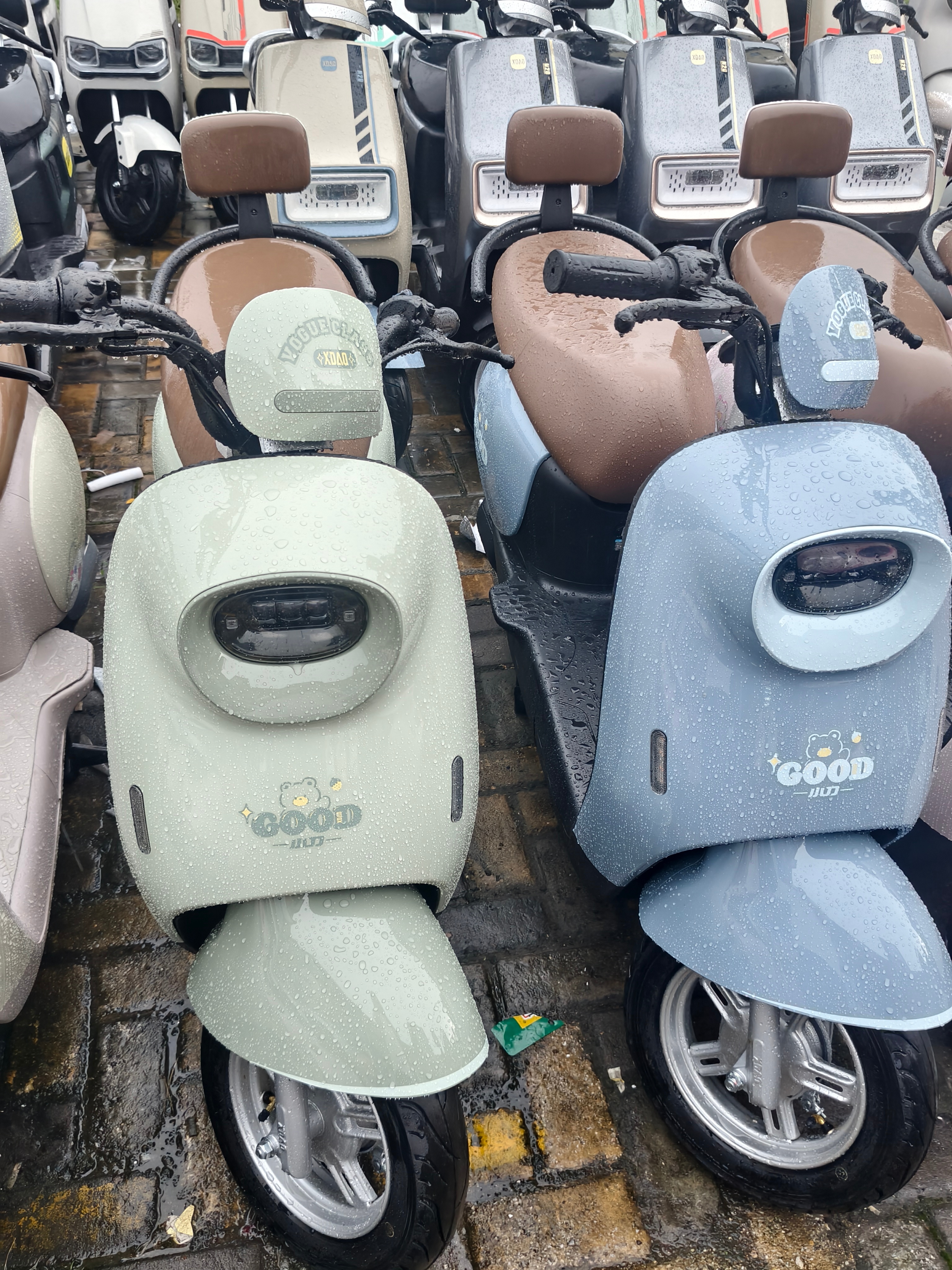 喜提新车！可爱小熊ᥫ᭡ ​​​