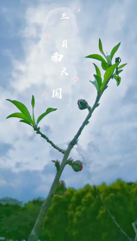 二月初三月
（一）
二月初三，月如弯钩，遥挂长空，所为何求？
千秋世事，能有几何