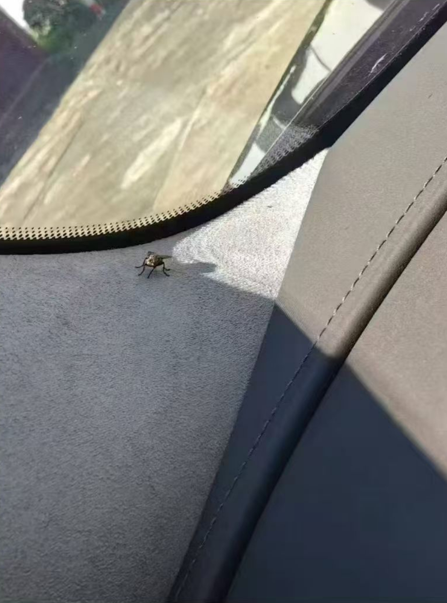 新能源车的活体检测已经到了下一个境界了吗 ​​​