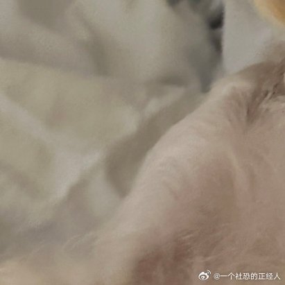 日行一善日行一善每日行一善你好一起保护大自然与社会携手做公益关爱唇腭裂儿童关心小