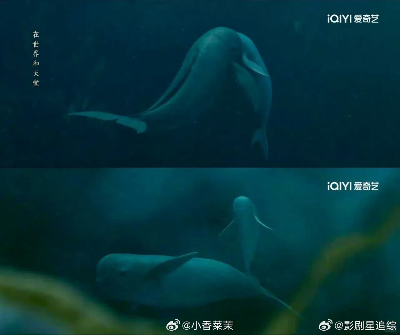 我的评分：[星星][星星][星星][星星][星星]离十六叽里咕噜说什么呢想亲离十