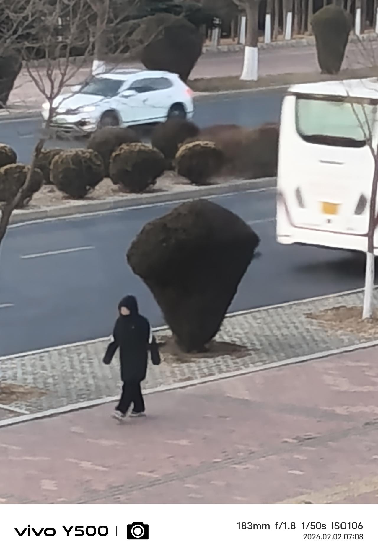 冬天的早晨七点，拉开窗帘，见车来车往、行人匆匆，忙忙碌碌百态人生。
      