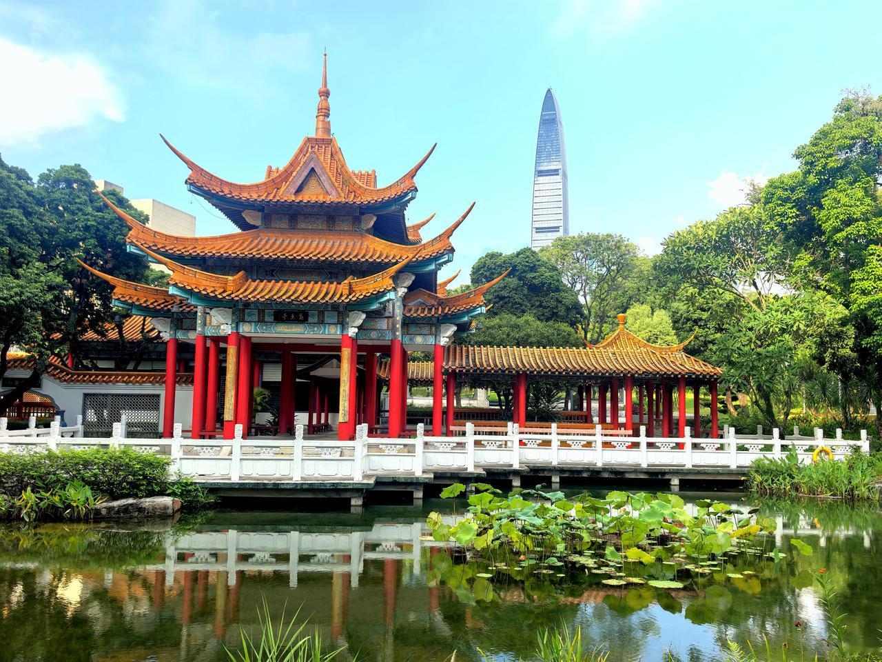 分享一种小野花图片