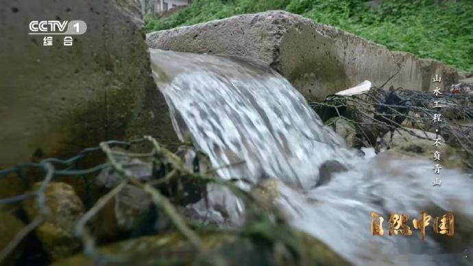 树苗坐无人机空降蓝田县焦岱镇的洋峪，一直以山高林密、谷深水急为特点。如今，随着无