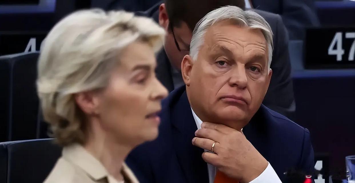 “通过送酒，帮助酗酒者”，欧尔班再次把“炮口”对准冯德莱恩。真对乌克兰1357亿