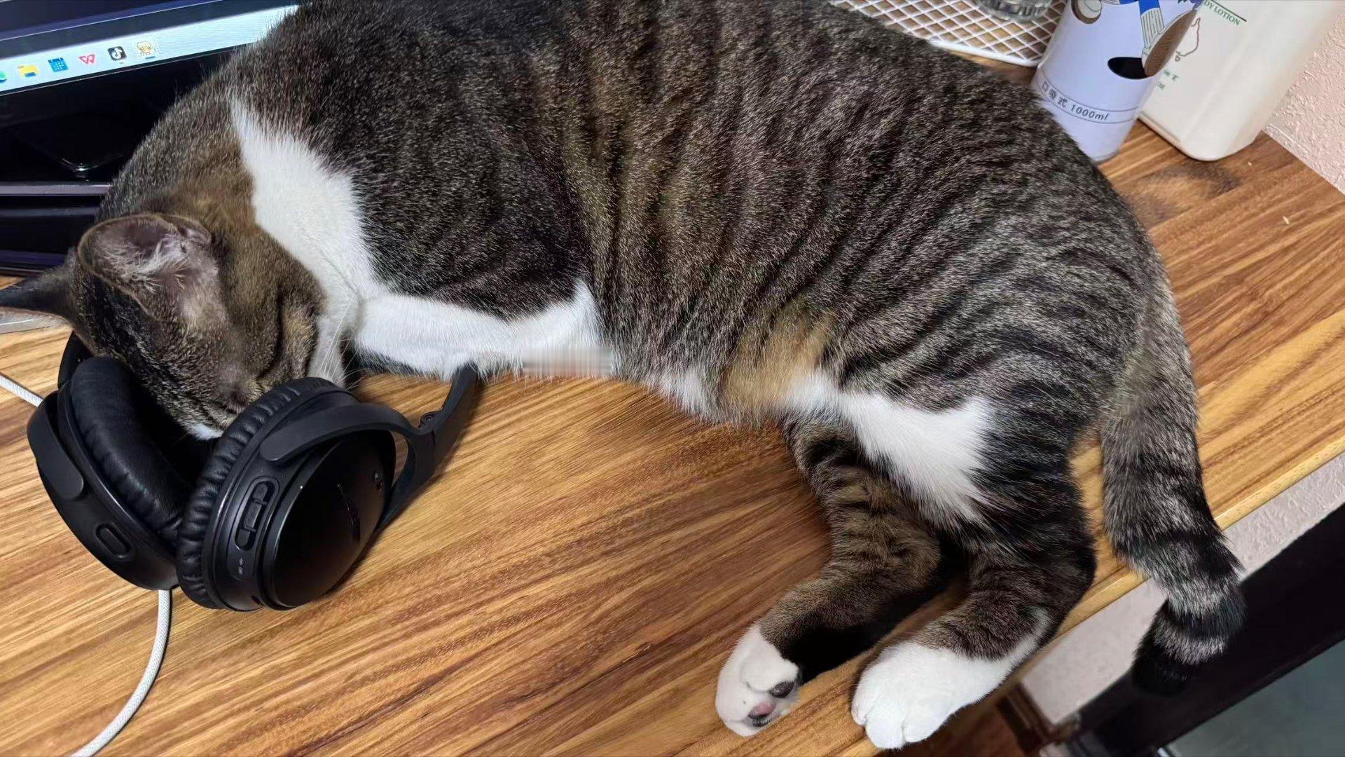 签到咯今天又躺了一天           