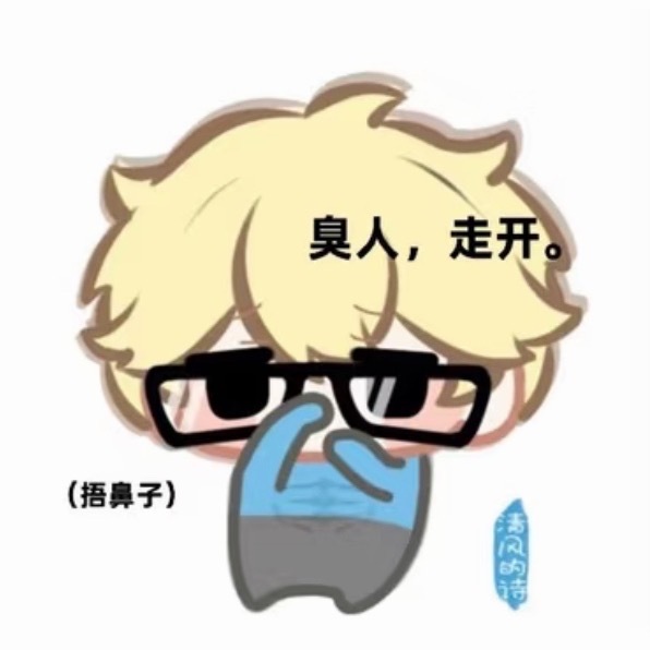 不管了 总之你们都是沙币 