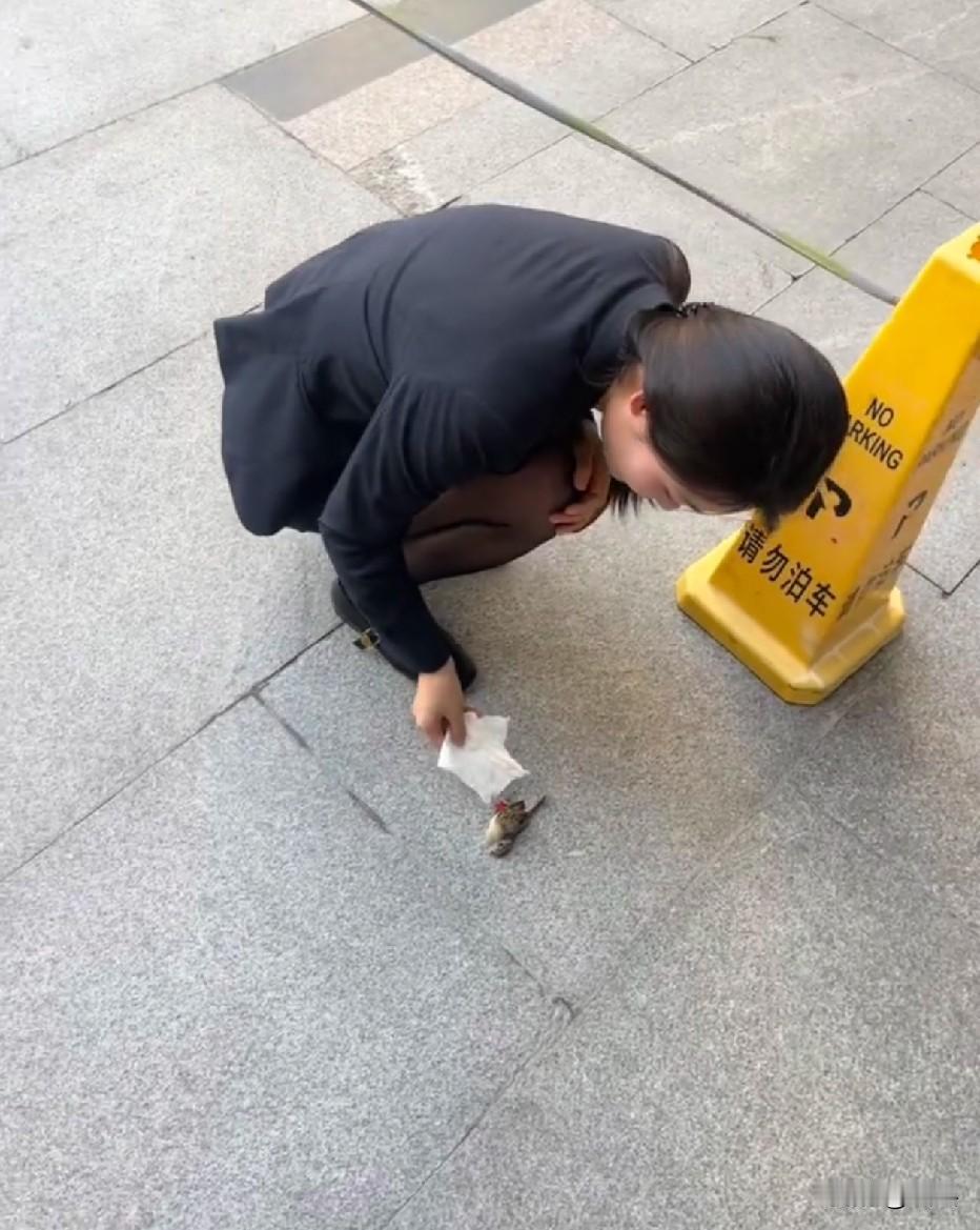 穿黑丝的都心地善良