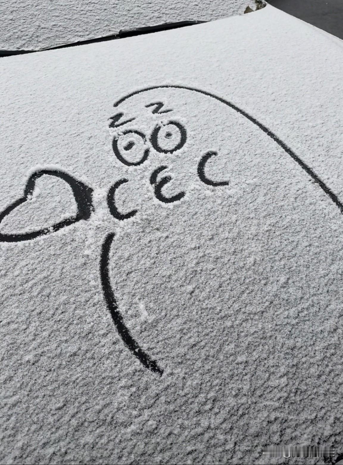 入冬的第一场雪🌨️你们那里下雪了吗？