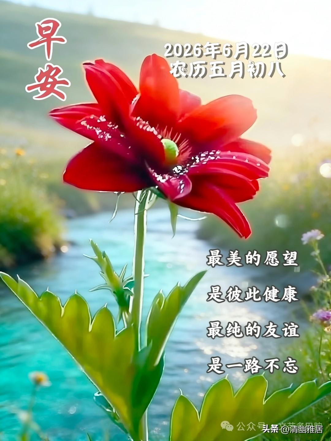 真心话茶局这几天中考，很多家长想当然以为孩子最为高贵，千方百计把自家车开到考点门