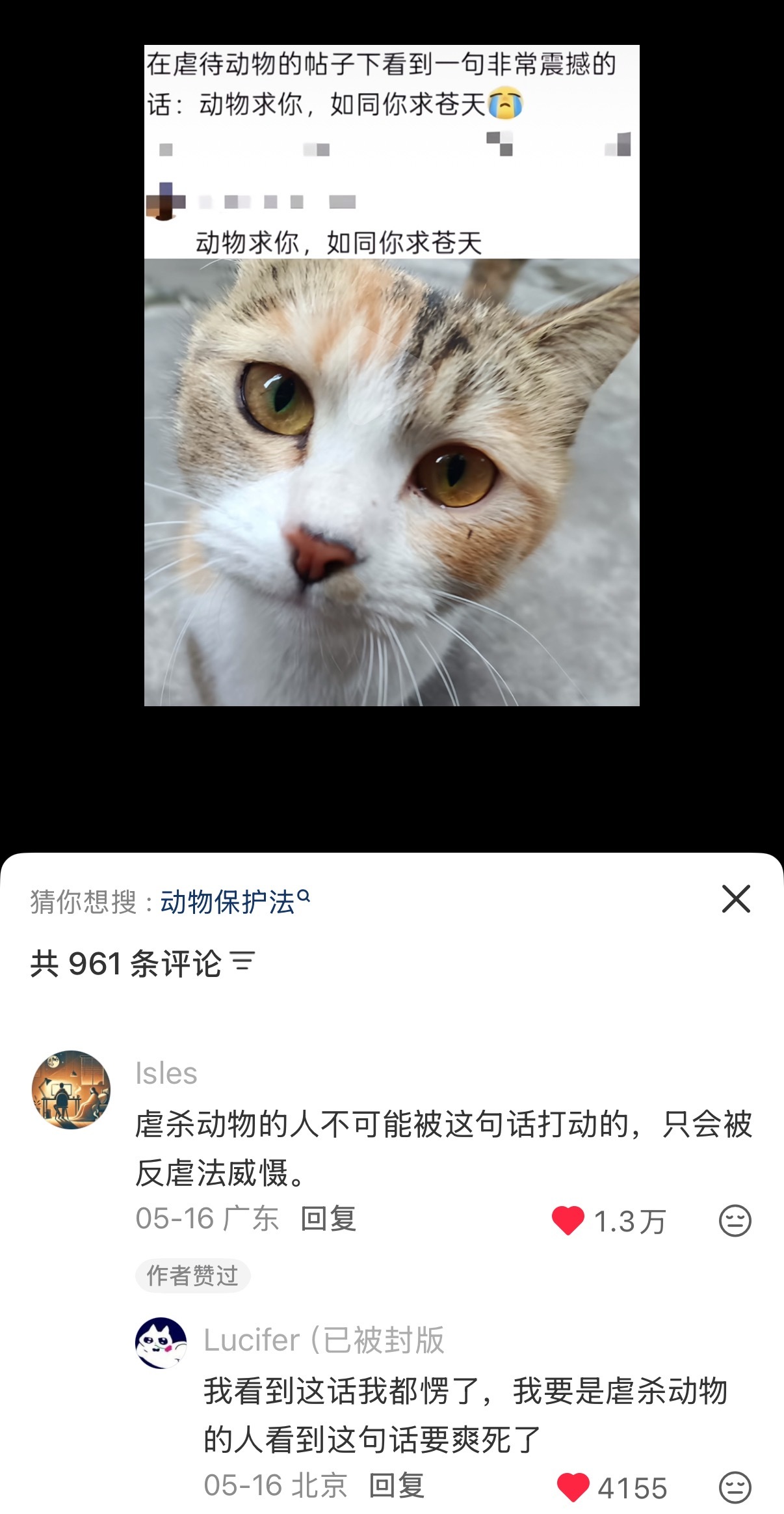 不喜欢这句话，只会让虐杀者觉得爽，在动物面前可以更肆无忌惮地做决定它们生死的神了