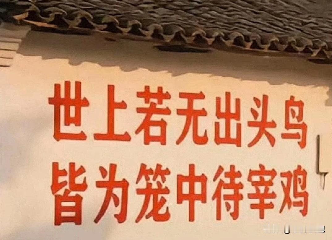 走错的路，我已经买单了。