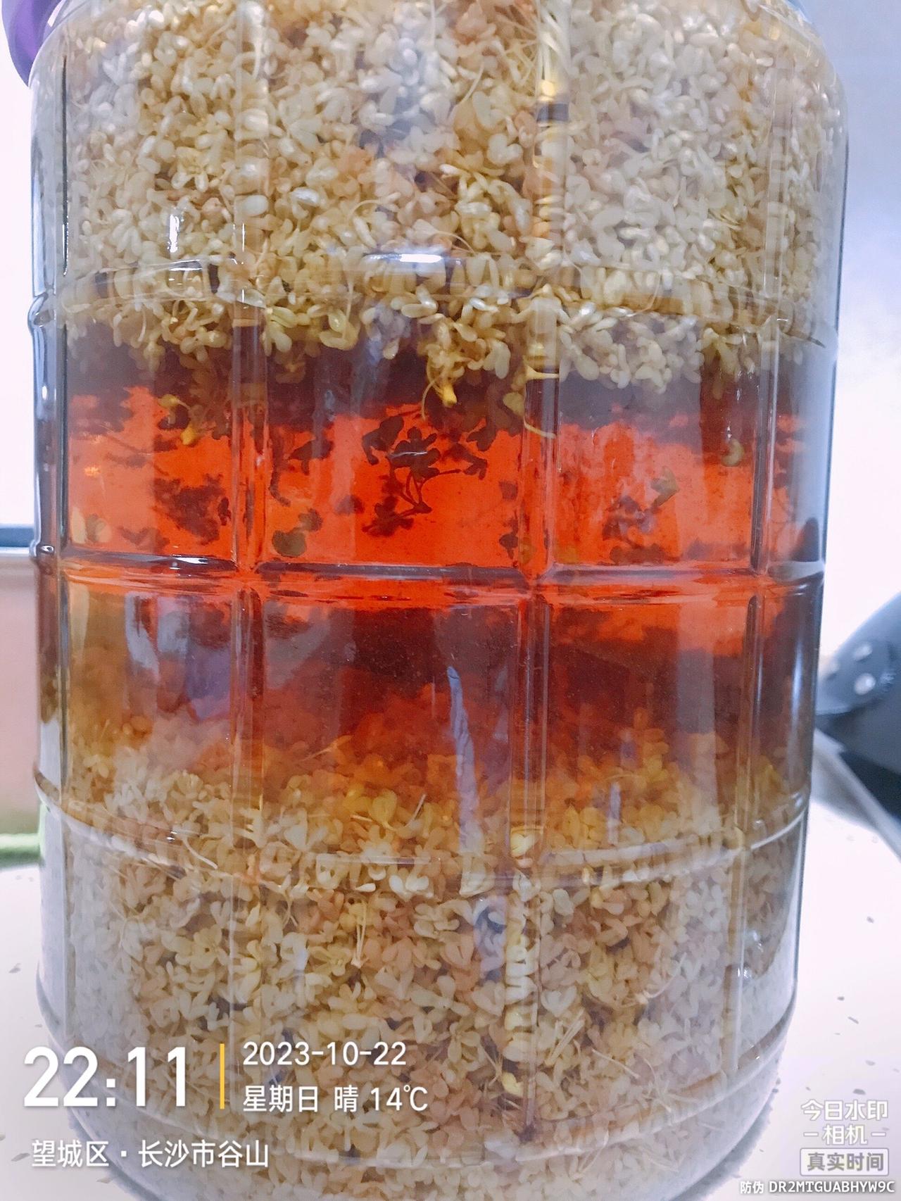如果我拿出这个，阁下又该如何应对。来来来，喝完一杯还有三杯。#泡酒 #泡酒的好材