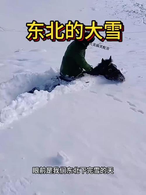 东北的雪洁白无瑕，并有由她编织而成的感动老老少少心灵的童话故事，让一代又一代人讲